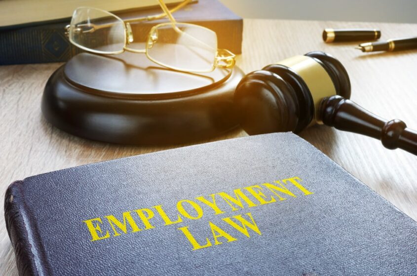 Employment Litigation Lawyer