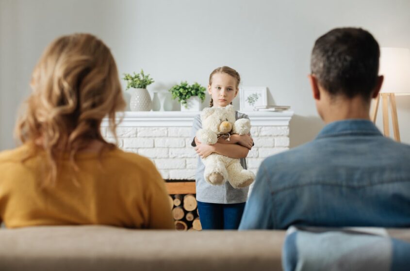 alimony lawyer
